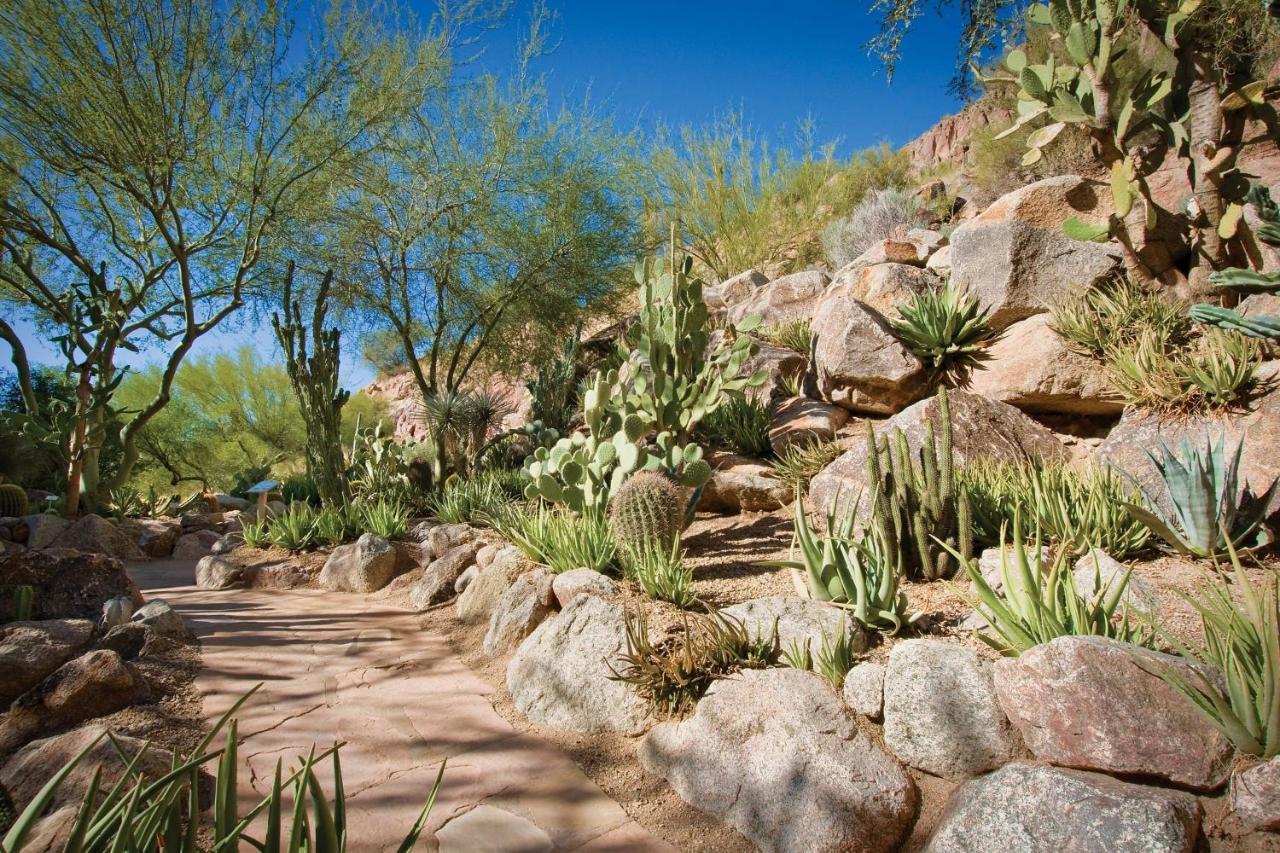 Paradise Valley The Canyon Suites At The Phoenician, A Luxury Collection Resort, Scottsdale מראה חיצוני תמונה